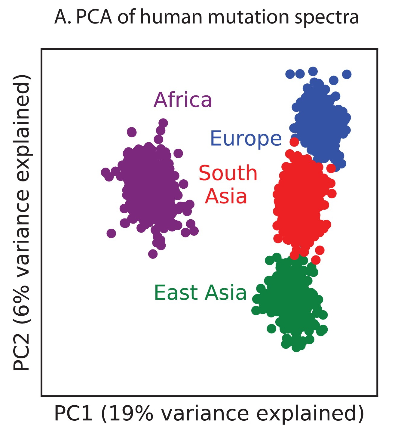 Figure 1A from https://elifesciences.org/articles/24284: Principal component analysis of individuals according to the fraction of derived alleles that each individual carries in each of 96 mutational types.